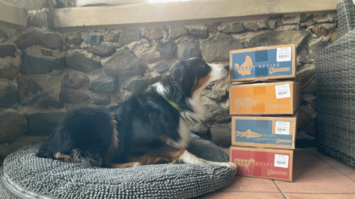 Evolution of Pet Food