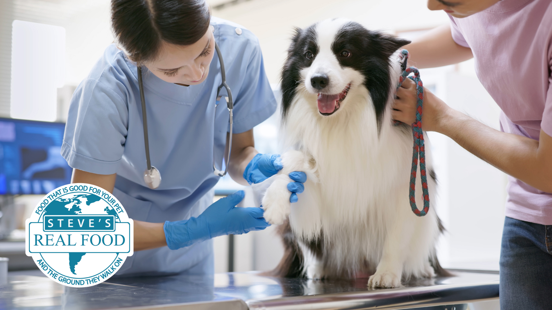 Different Types oF VETS