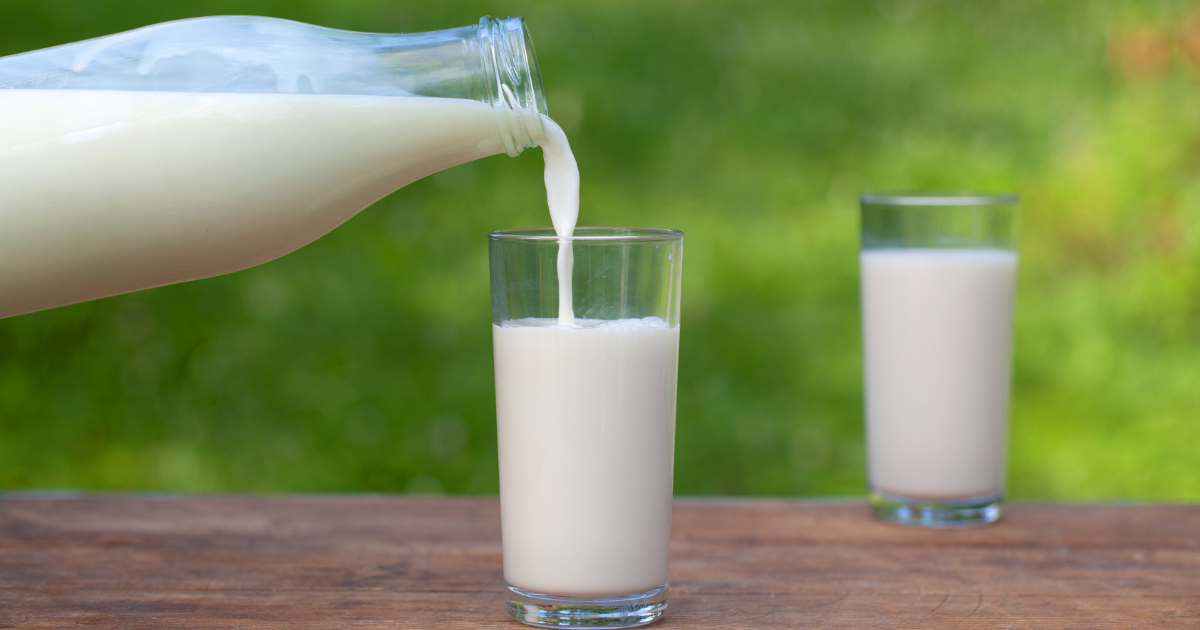 pouring goat milk into a glass