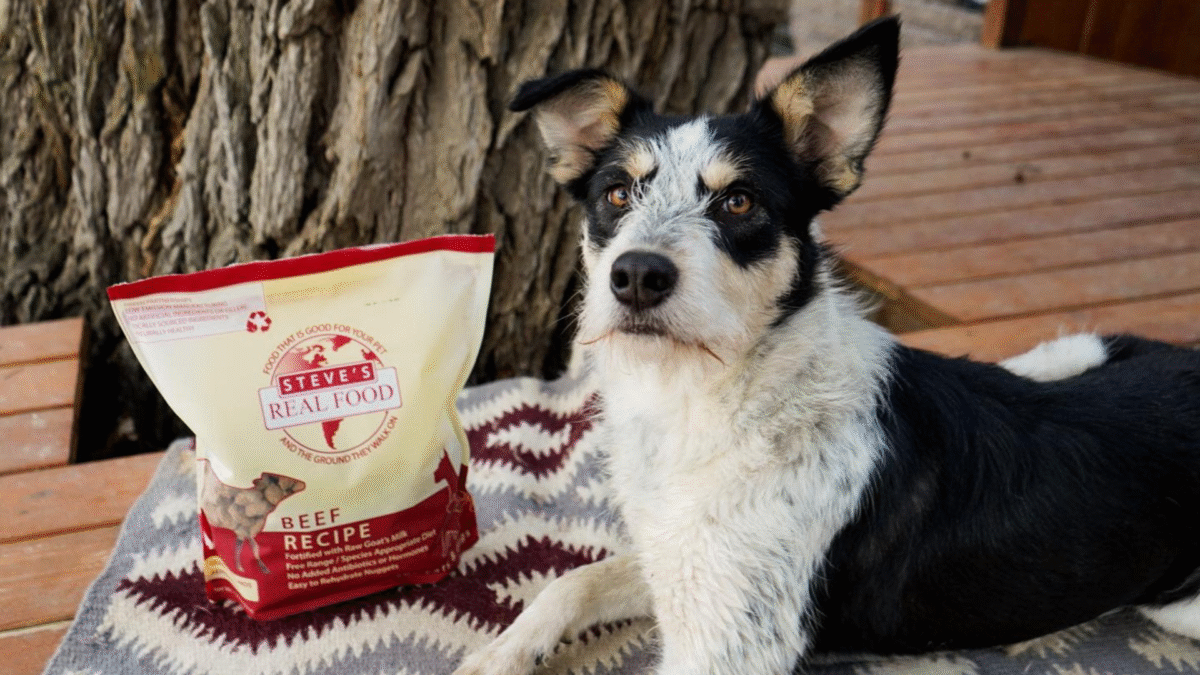 freeze dried vs frozen