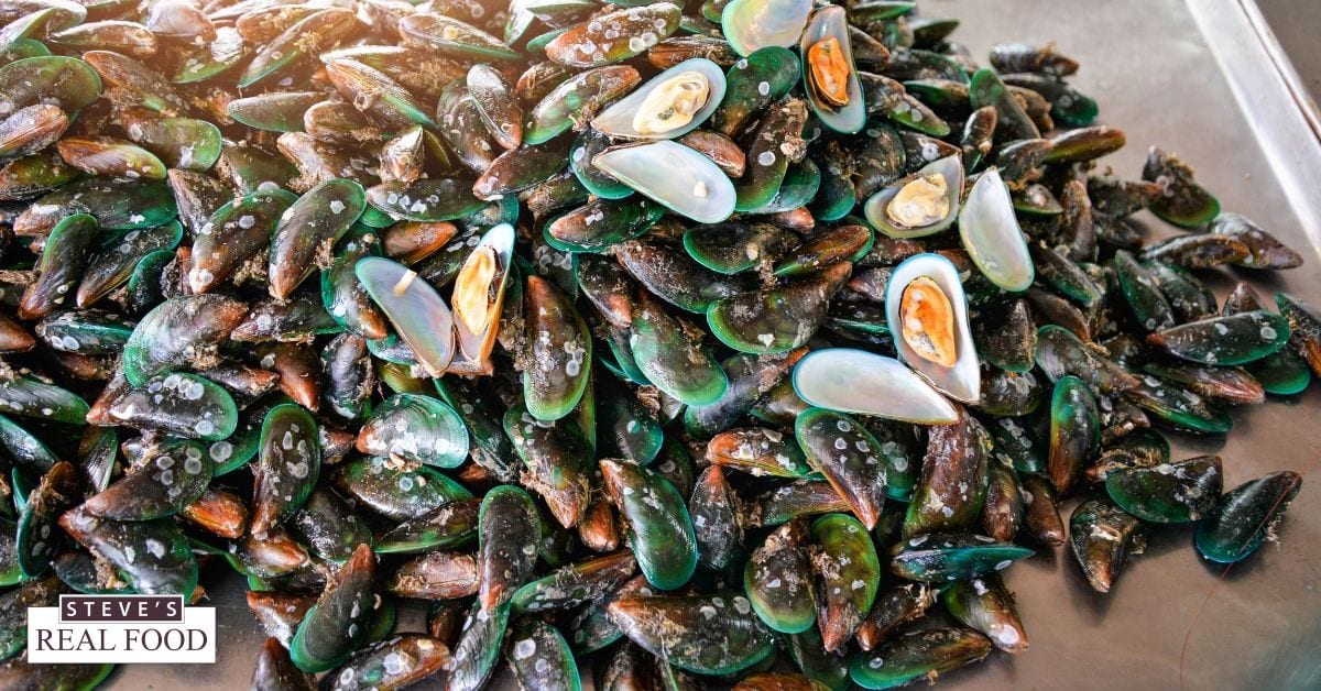 A table full of mussels