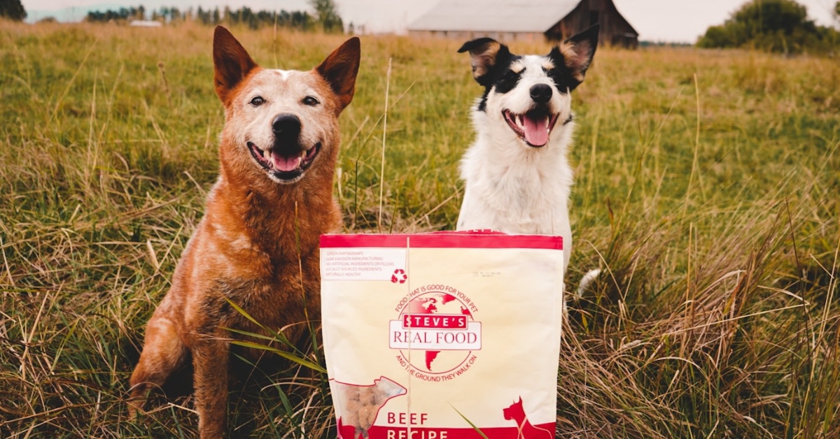 Two dogs sitting in field with bag of food
