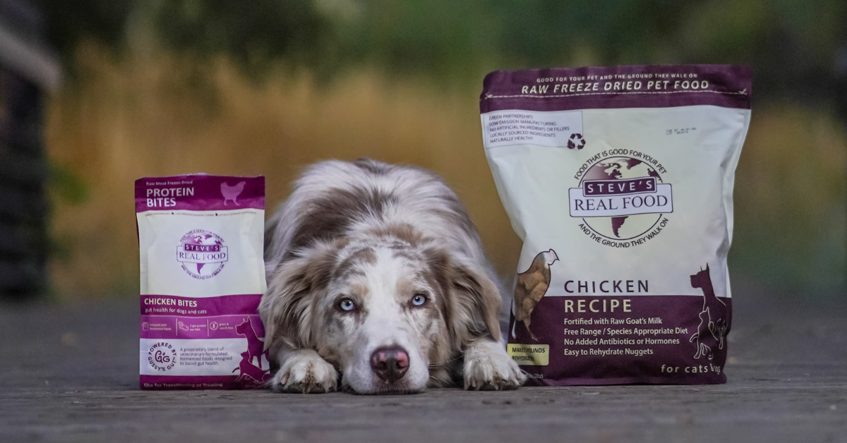 dog laying between bag of freeze-dried raw and protein bites