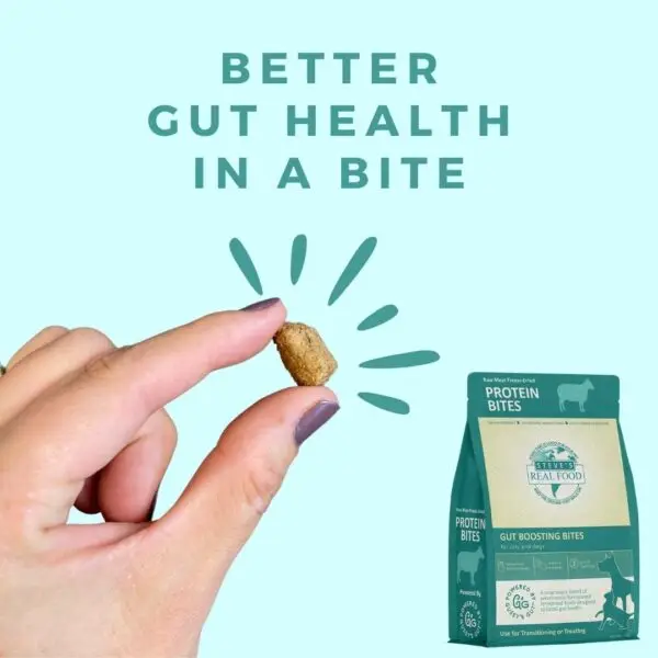 Protein Bites for gut health