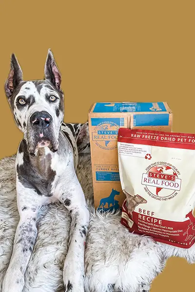 Dog laying on floor with a bag and a box of food