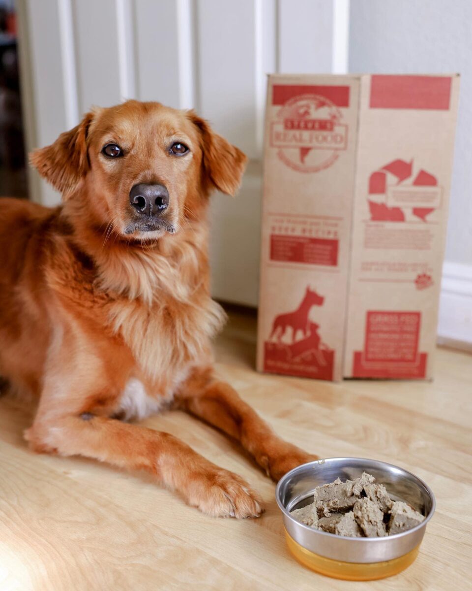 Dog laying on floor in front of bowl with box in background
