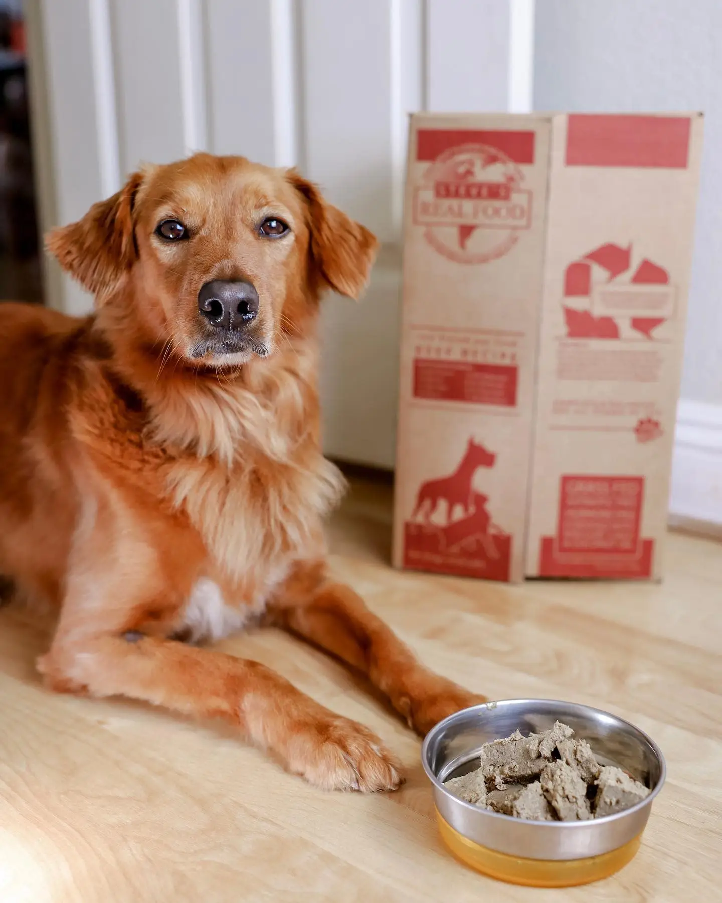 Best raw dog food for golden retrievers best sale