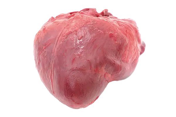 Pork heart