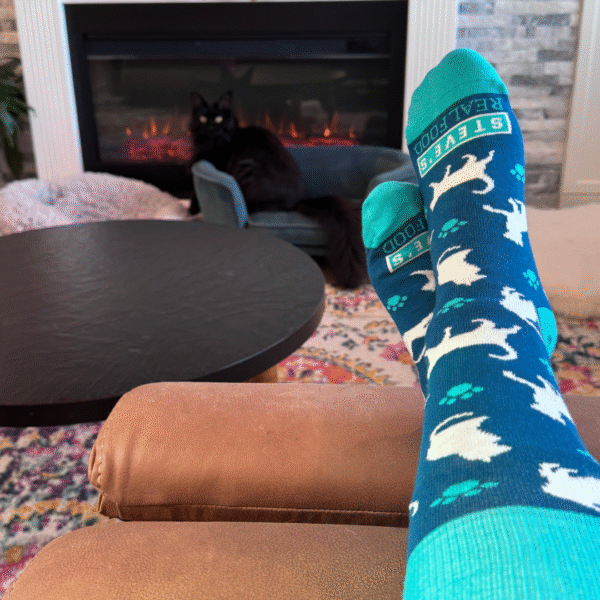 Cat Socks