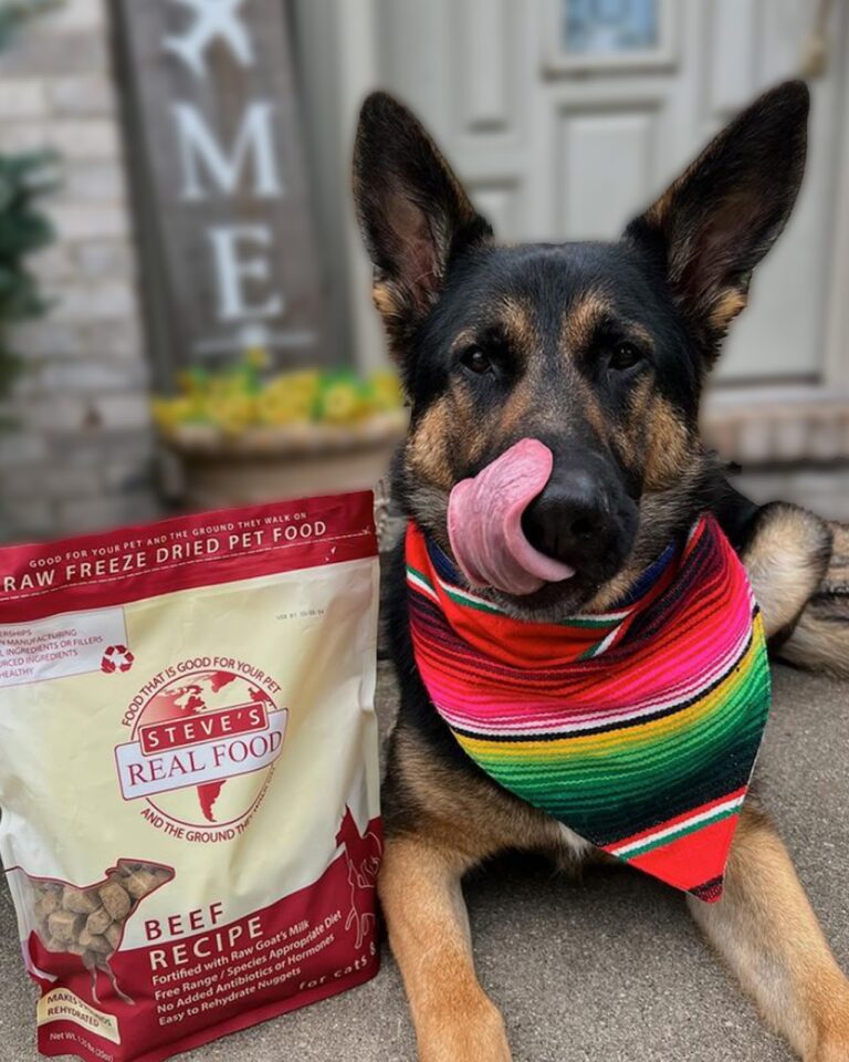 FreezeDried Raw Dog Food Beef Recipe Steves Real Food