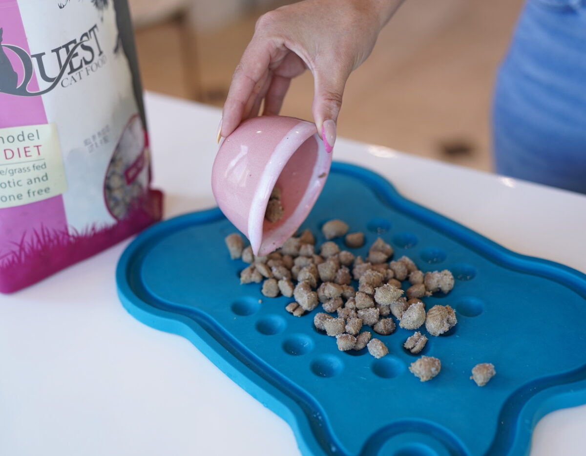 Quest cat food being placed on a plate