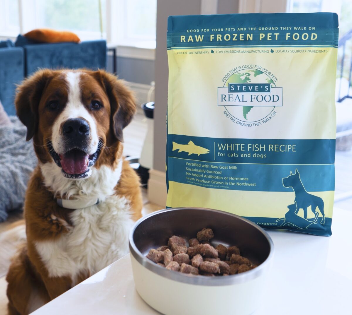 Dog sitting next to bag of Raw Frozen Pet Food White Fish Recipe and dish