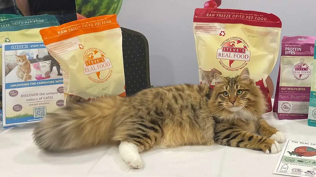 Cat at trade show