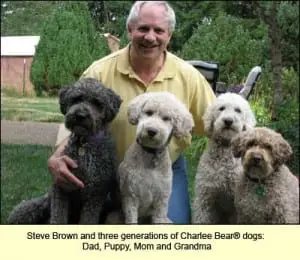Steve Brown with three generations of dogs