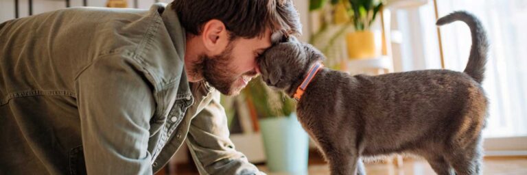 Cat snuggling man