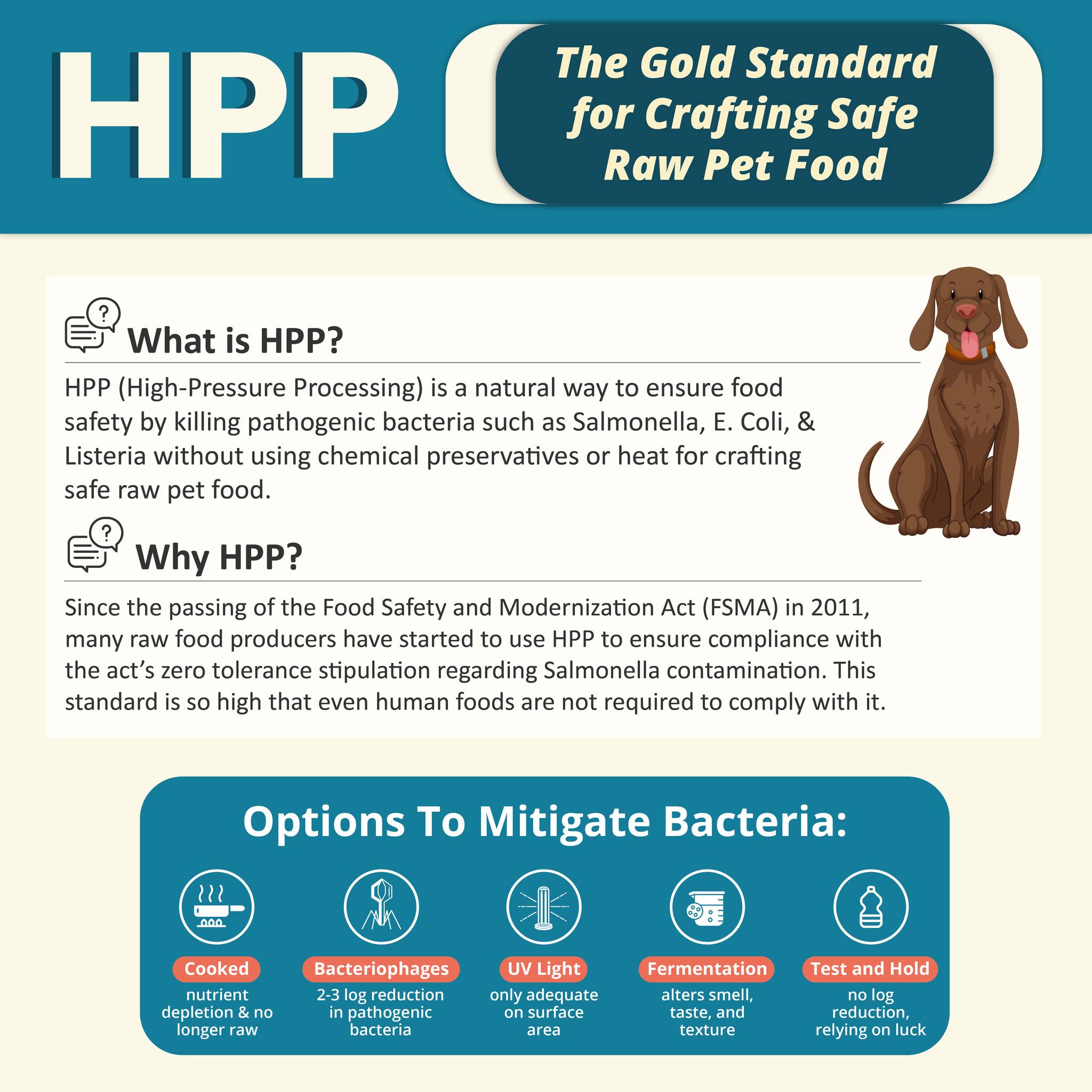 what is hpp infographic