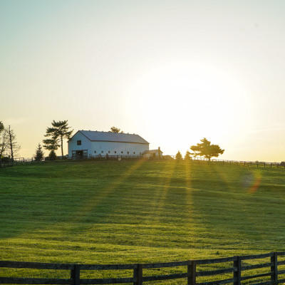 farm