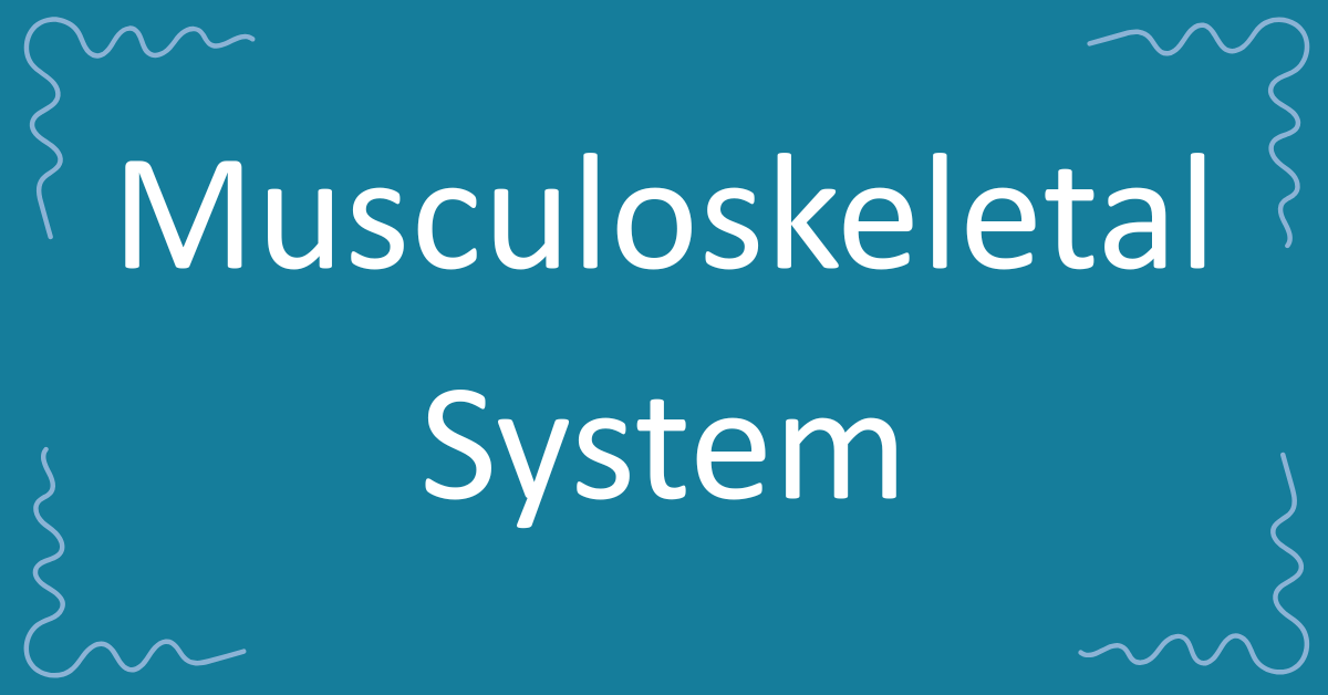 Musculoskeletal System
