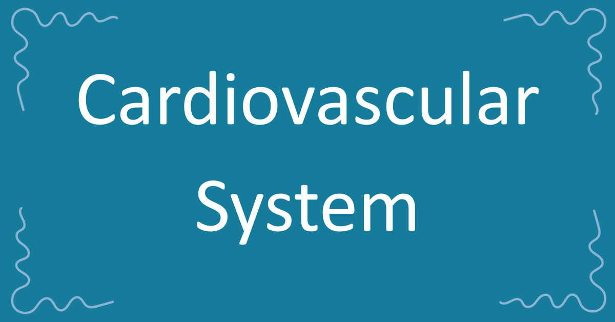Cardiovascular System