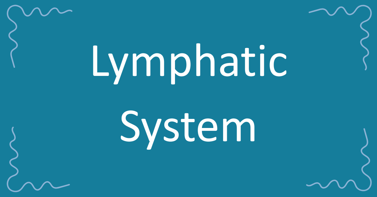 Lymphatic System