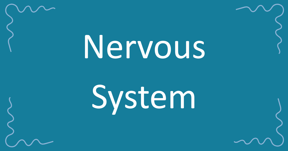 Nervous System