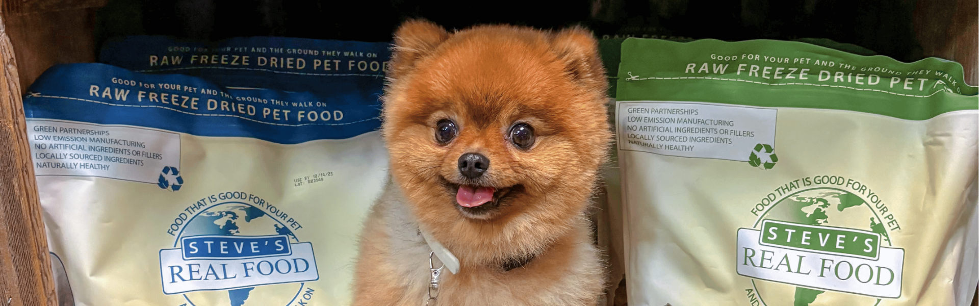 pomeranian with steve's real food bags