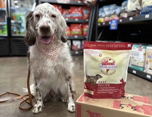 dog in pet store