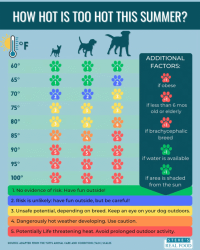 Summer Pet Safety