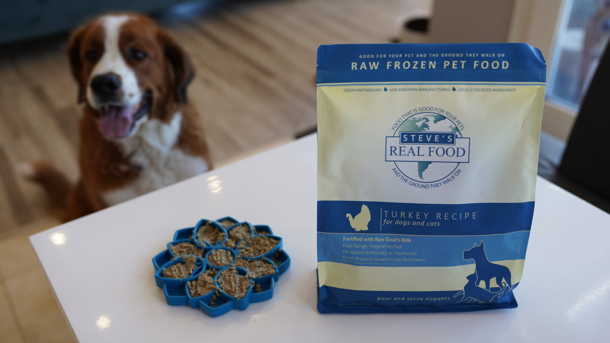 Frozen Flower Platter Turkey with Reggie Dog