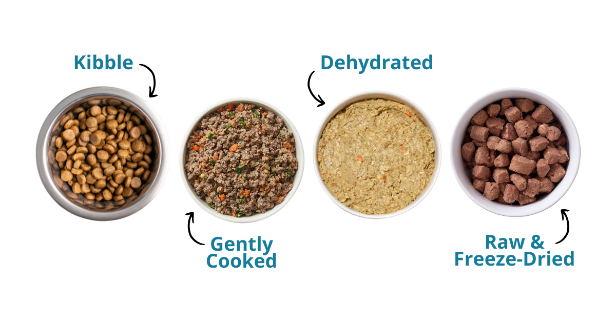 4 bowls of different types of pet food on white background