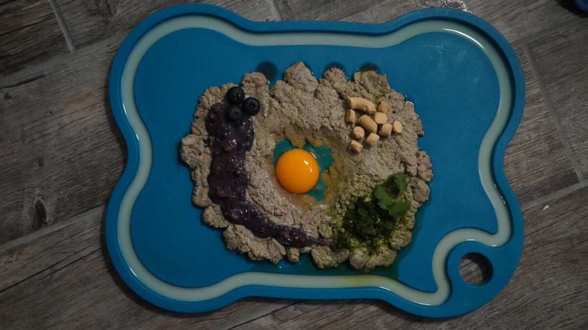 raw pet food on a bone-shaped, blue feeding platter