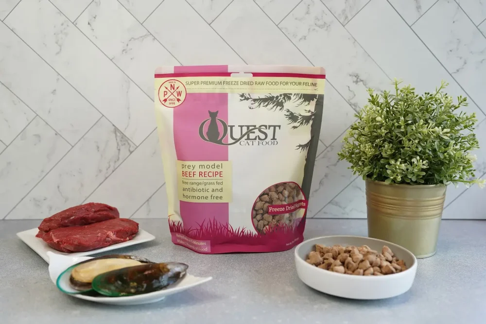Bag of Quest Cat Food sitting on counter with dishes of food