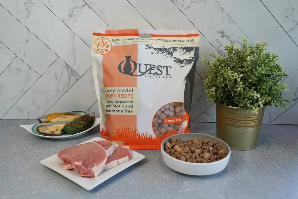 Quest Cat Food sitting on counter with food in dish and pork and shellfish