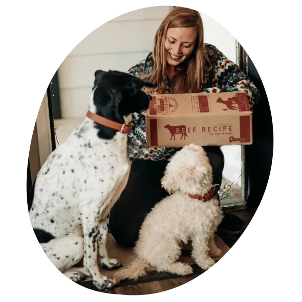 Woman with a box of food and two dogs