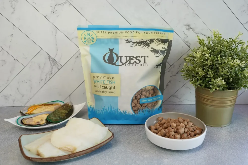 Bag of Quest Cat Food with dishes of food